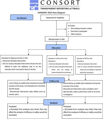 Mawangdui-Guidance Qigong Exercise for patients with chronic non-specific low back pain: Study protocol of a randomized controlled trial